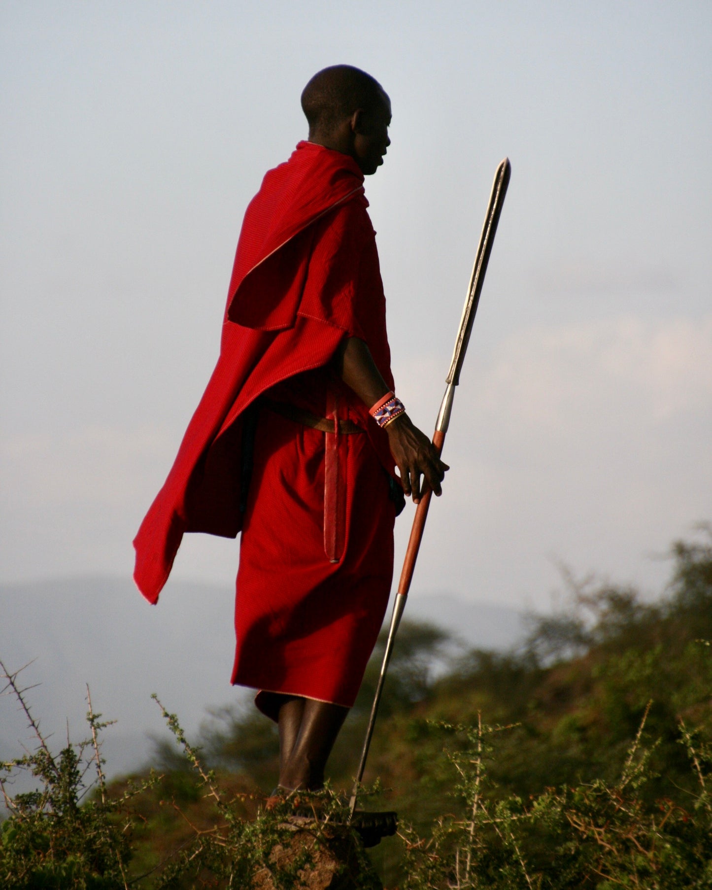 バタフライ マサイシュカ マサイのブランケット